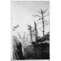 Vers la "Brosse à dents". Tranchées près de Tahure. [légende d'origine]