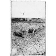 Ce qui reste de deux de nos chevaux dans un trou de marmite. [légende d'origine]