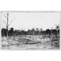 Cimetières au trou Bricot. [légende d'origine]