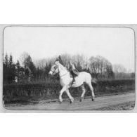 Un cavalier. Saint Etienne. [légende d'origine]