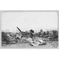 Le Zeppelin de Révigny. [légende d'origine]