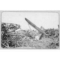 Le Zeppelin de Révigny. [légende d'origine]