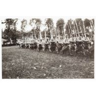 Le Parc. [légende d'origine]<br>