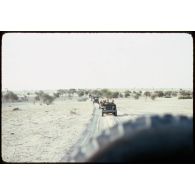 Jeeps sur la piste. [légende d'origine]<br>