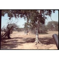 Abeché - Patrouille du II° escadron / RICM. [légende d'origine]<br>