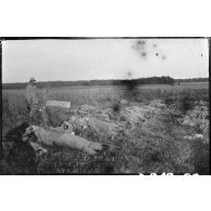 [Un soldat devant des cadavres].