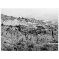 Point d'Appui (?) au Cap Roux (à l'est, l'Algérie est séparée de la Tunisie par une ligne qui commence au Cap Roux). [légende d'origine]<br>