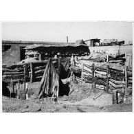 Vue de la côte 60. [légende d'origine]<br>