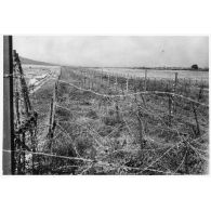 Réseau au 5/29. [légende d'origine]<br>