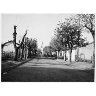 Rue secondaire du Tarf, ville entourée de forêts dans la région de Constantine (10 km à l'est de la frontière tunisienne, 30 km à l'ouest de Bône). [légende d'origine]<br>