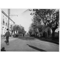 Rue principale du Tarf, ville entourée de forêts dans la région de Constantine (10 km à l'est de la frontière tunisienne, 30 km à l'ouest de Bône). [légende d'origine]<br>