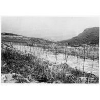 Reseau et le cap Roux (à l'est, l'Algérie est séparée de la Tunisie par une ligne qui commence au Cap Roux). [légende d'origine]<br>