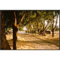 Douguia- Patrouille en alerte à l'entrée de la concession, pendant la conférence.