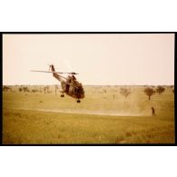 Evolution d'un Puma du Groupement au champ de tir Mortiers de Karkour. [légende d'origine]<br>