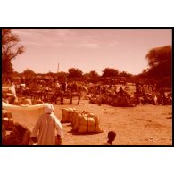 Abeché  - Le Marché (photographe : Sergent Chambertin, RICM, II° escadron). [légende d'origine]<br>