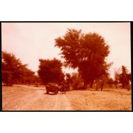 Abeché  - Reconnaissance sur la piste d'Adré (village situé à 2 km de la frontière soudanaise). [légende d'origine]<br>