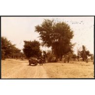 Abeché  - Reconnaissance sur la piste d'Adré (village situé à 2 km de la frontière soudanaise). [légende d'origine]<br>