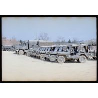 Münsingen. [légende d'origine]<br>