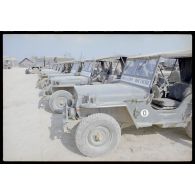 Münsingen. [légende d'origine]<br>