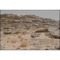 Massif de l'Adrar, détails du relief et du sol, pierres, végétation et sable. [légende d'origine]<br>