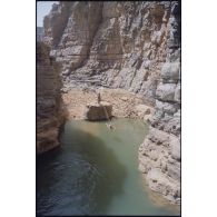 Vue de gueltas (trous d'eau permanents) dans les falaises. [légende d'origine]<br>