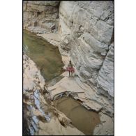 Vue de gueltas (trous d'eau permanents) dans les falaises. [légende d'origine]<br>