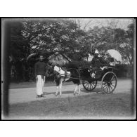 [Monsieur et madame dans une carriole conduite par un boy au Tonkin].<br>