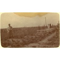 Au cimetierre militaire de L... [légende d'origine]