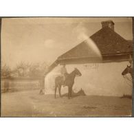 Avant une promenade avec Domoiseau. [légende d'origine]