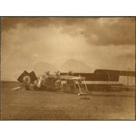 Les mêmes vus ensemble. [légende d'origine]