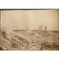 Le bois C11 vu de la Casemate. [légende d'origine]