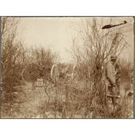 Un coin du bois C11 (Champagne). [légende d'origine