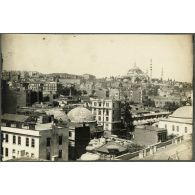 Constantinople à vol d'oiseau. [légende d'origine]