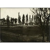 Constantinople - un cimetière Grec. [légende d'origine]