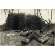 [Cadavres de soldats soviétiques devant un abri].