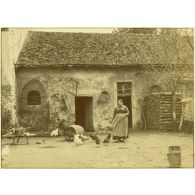 Le petit déjeuner de la basse-cour. [légende d'origine]