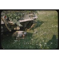 1955, Reutlingen, manœuvres à Münsingen. [légende d'origine]