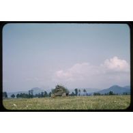 1955, Reutlingen, manœuvres à Münsingen. [légende d'origine]