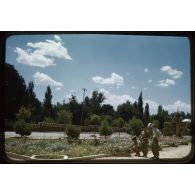 1957 Palat, ops Août, Aflou (0) vers la PM, Août. [légende d'origine]