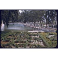 1956 Palikao piscine. [légende d'origine]