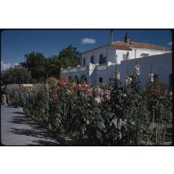 [Méchéria le 28 mai 1959].