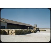 1957 Palat, moissons Juin. [légende d'origine]