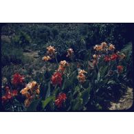 1959 x dpt 28-5, Méchéria. [légende d'origine]