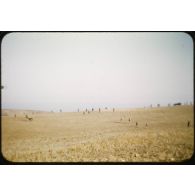 1958 Ops 6, op Gilles (5) ratissage. [légende d'origine]