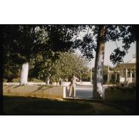 1956 Palikao, environs, à Thiersville (2). [légende d'origine]