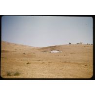 1956 Palikao, environs (6) épave d'un T6. [légende d'origine]