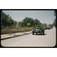 Ferret du 4e ECS. [légende d'origine]