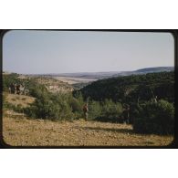 Opération du 26 juin 1957 au matin : les H.T. du 2e escadron. [légende d'origine]<br>