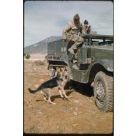 [Un soldat du 12e RD joue avec Mouss, la mascotte de l'escadron]
