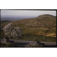 [Les hommes du 12e RD conduisent des Daimler Ferret sur la route de Mascara].